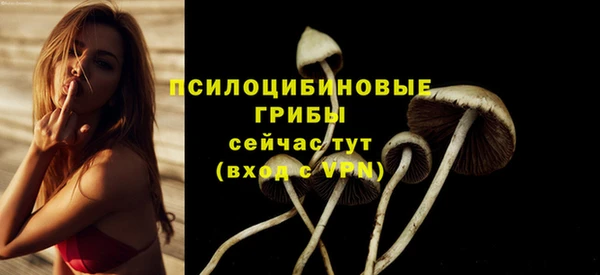 спиды Ижевск