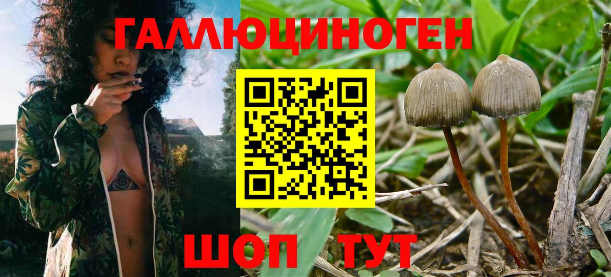 Галлюциногенные грибы Magic Shrooms Касимов