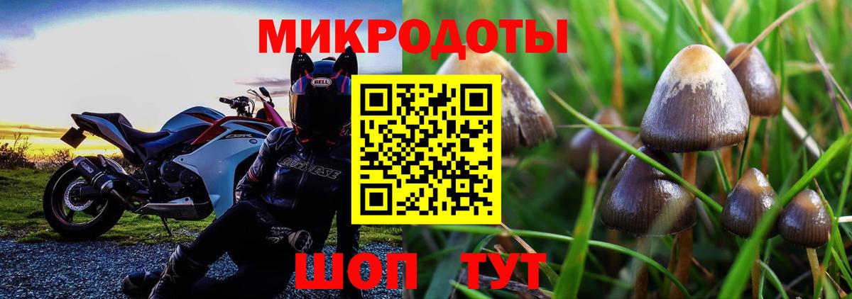 Касимов  Псилоцибиновые грибы мицелий  Вход с VPN 